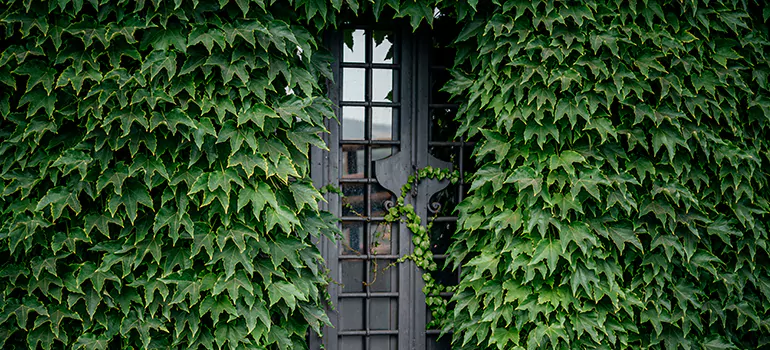 Garden Gate Repair in Coral Springs, FL