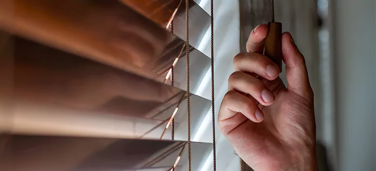Double Roller Blinds in Coral Springs, FL