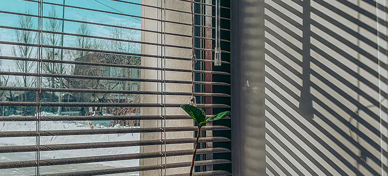 Commercial Window Blinds in Coral Springs, FL