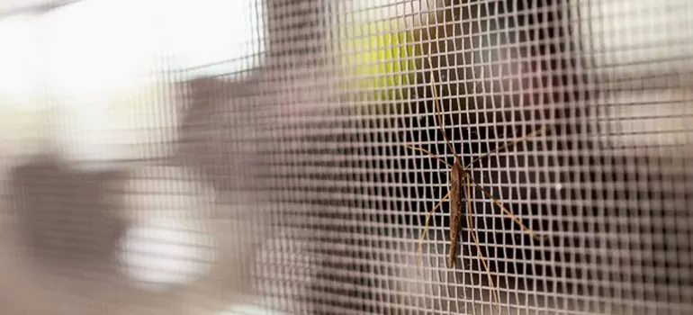 Repair Mosquito Mesh For Windows in Coral Springs, FL