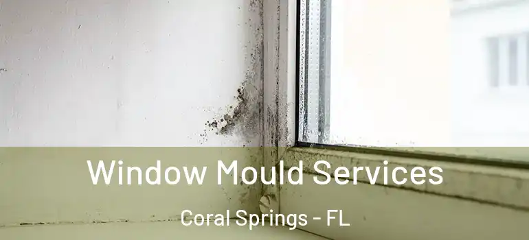  Window Mould Services Coral Springs - FL